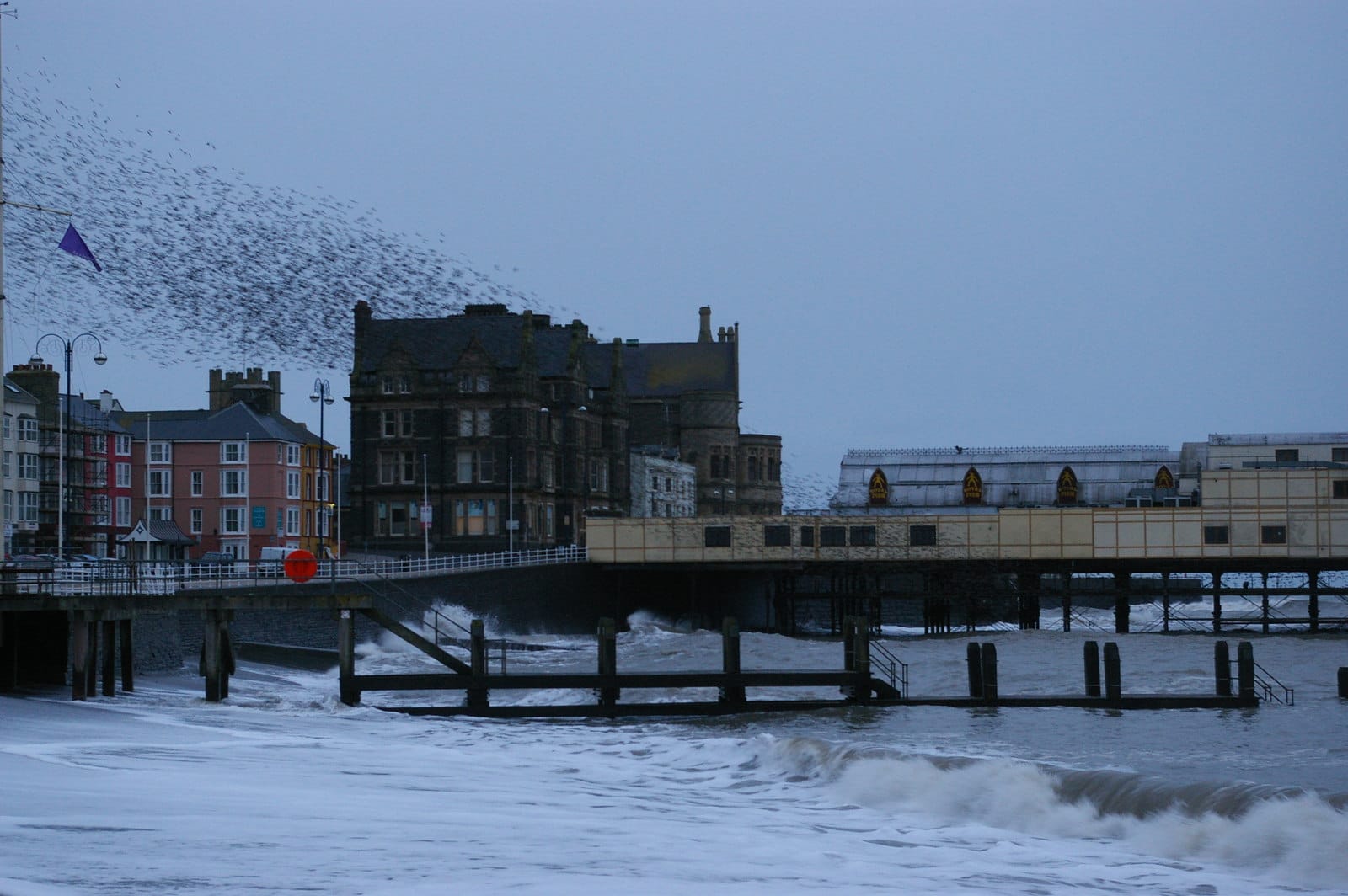 Starlings at Aberystwyth Pier