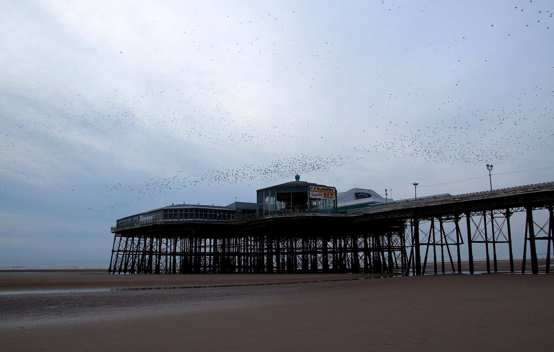 Starlings at Blackpool North Pier
