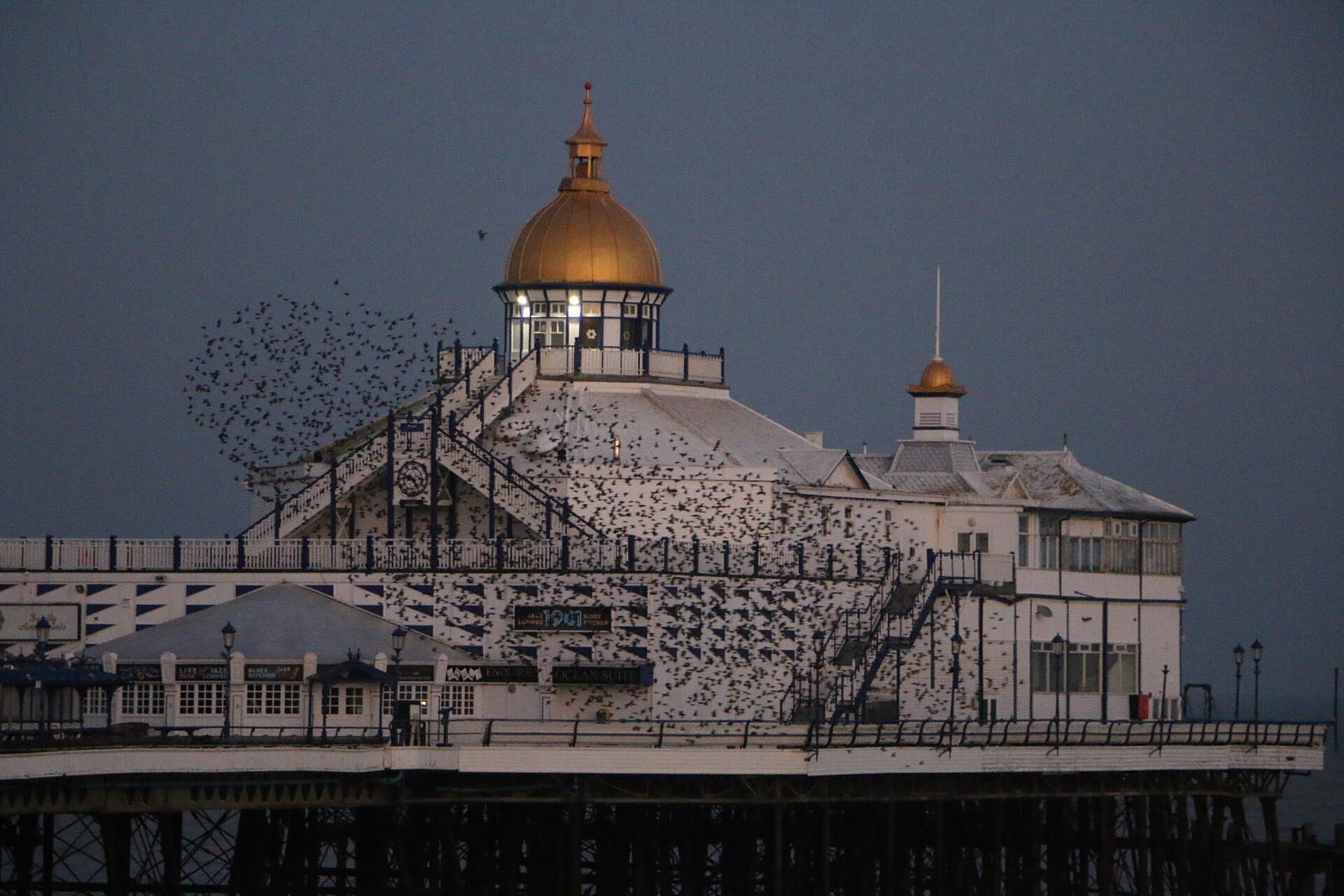 Starlings swirling around the domed pavilion of Eastbourne Pier under a dark sky